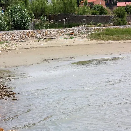 Guest house With Wifi Kampor, Rab - 17412